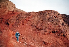 1995 - USA 137 (Vers Badwater - Death Valley)